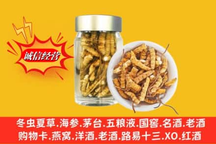 贵阳市花溪回收散虫草