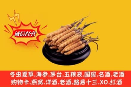 贵阳市花溪名酒回收冬虫夏草.jpg